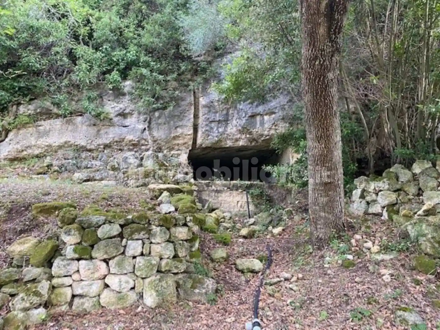 Cascina Strada Vicinale Eba Giara Filigheddu, 22, Filigheddu, Sassari - foto 4