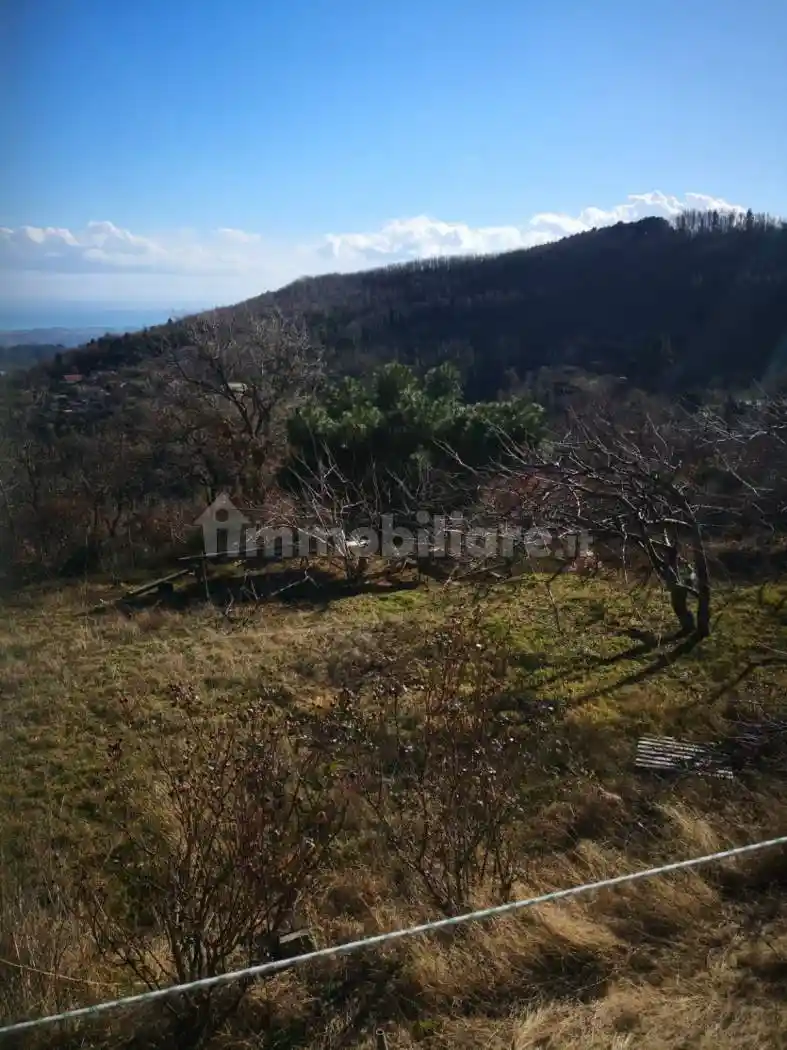 Casale Contrada Tre Arie, Gimigliano - foto 5