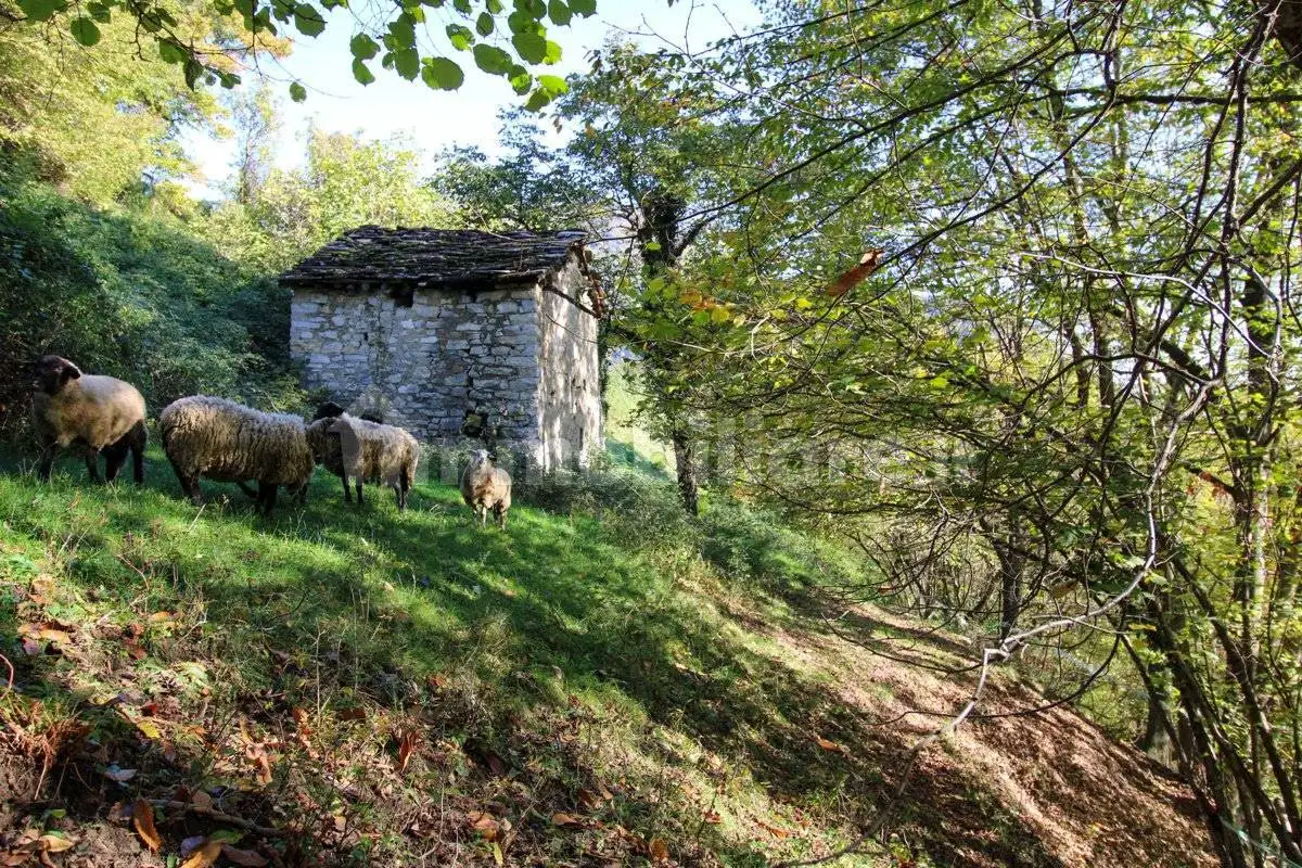Rustico - Casale in vendita a Cerano d'Intelvi