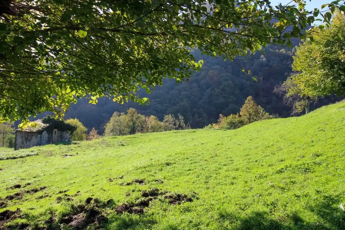 Rustico via Dizzasco, snc, Cerano d'Intelvi - foto 4