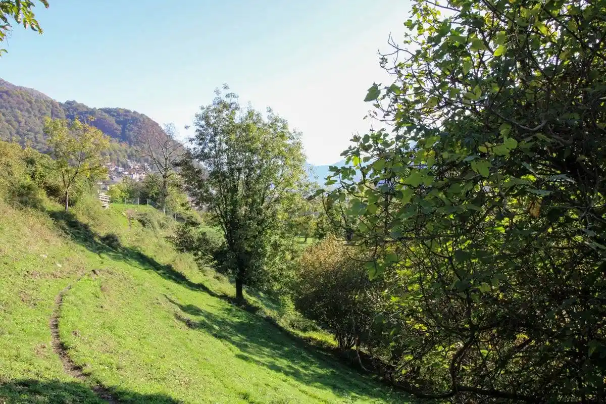 Rustico via Dizzasco, snc, Cerano d'Intelvi - foto 5