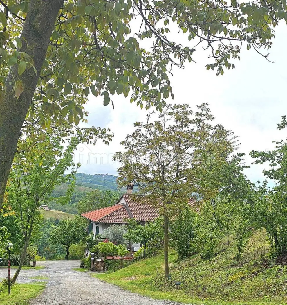 Rustico - Casale in vendita a Albaretto della Torre