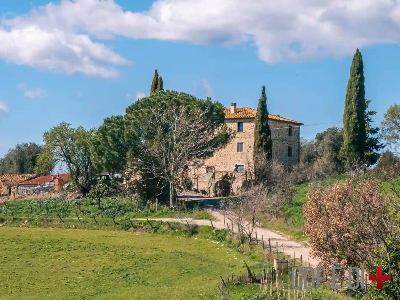 Rustico - Casale - foto 2