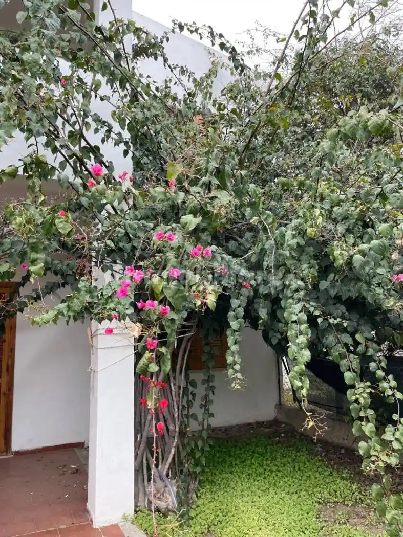 Villa a schiera viale Rivachiara, Sellia Marina - foto 2