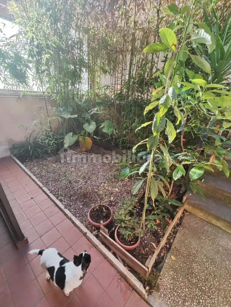 Appartamento in affitto a Roma