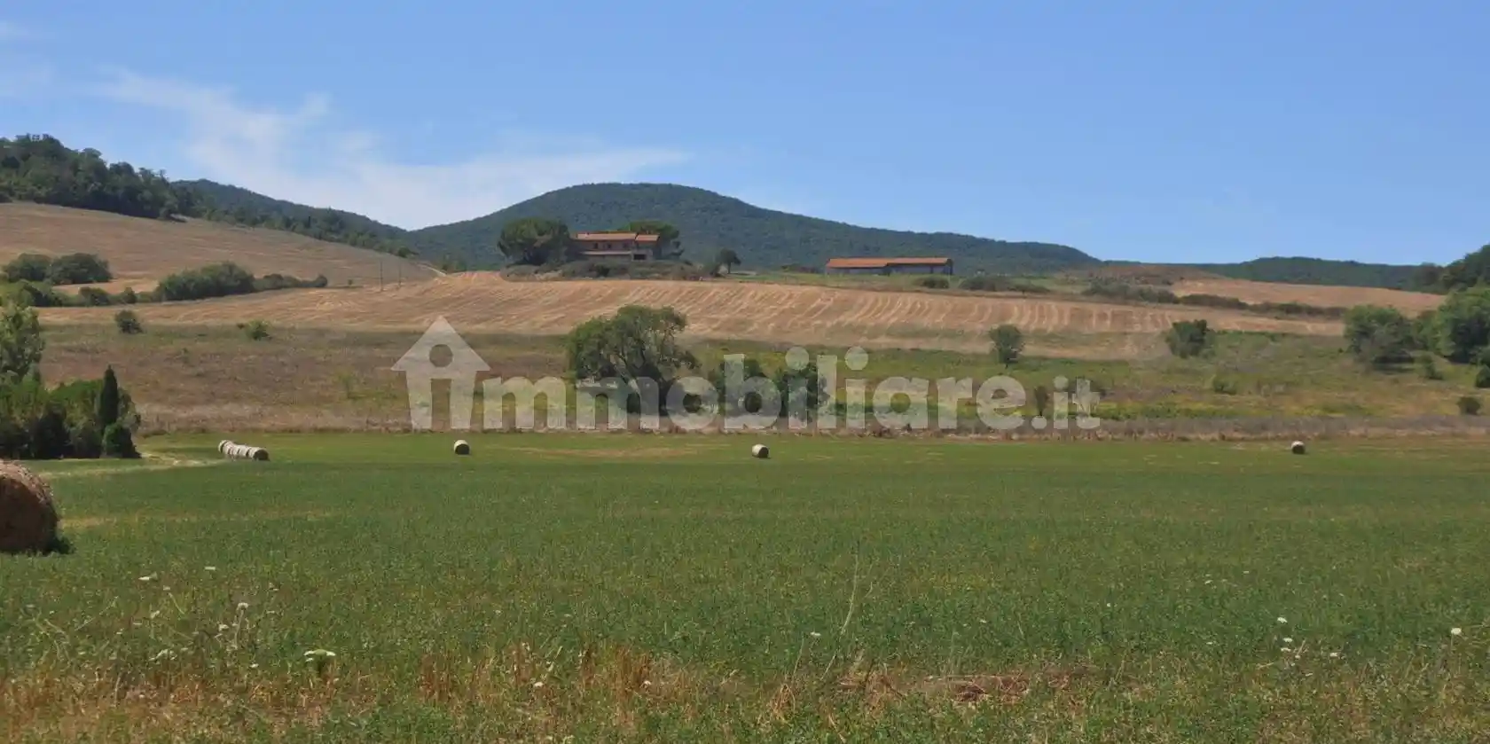 Rustico - Casale in vendita a Bibbona