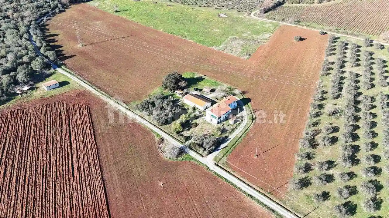 Rustico - Casale - foto 4