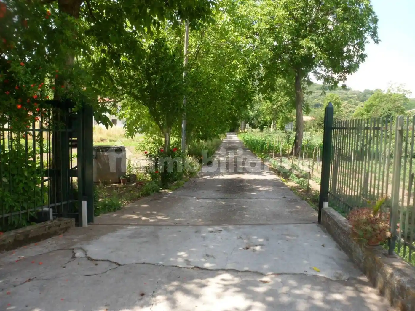 Casa colonica Strada Provinciale Caudina Tronco 2, Airola - foto 4