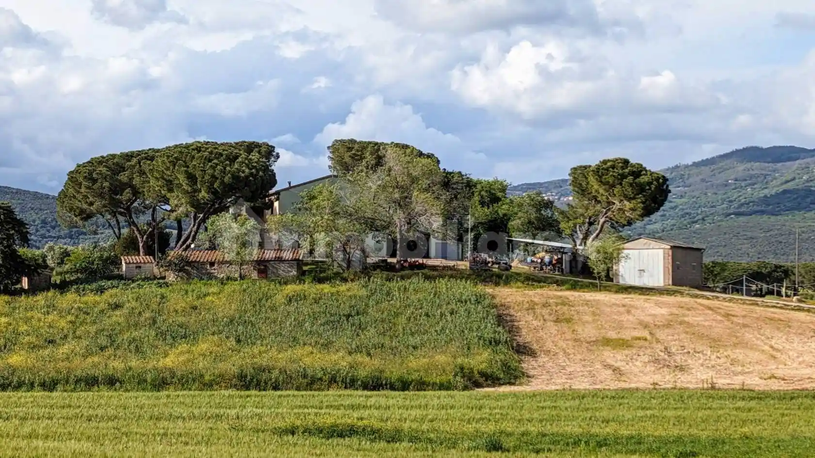 Rustico - Casale in vendita a Roccastrada