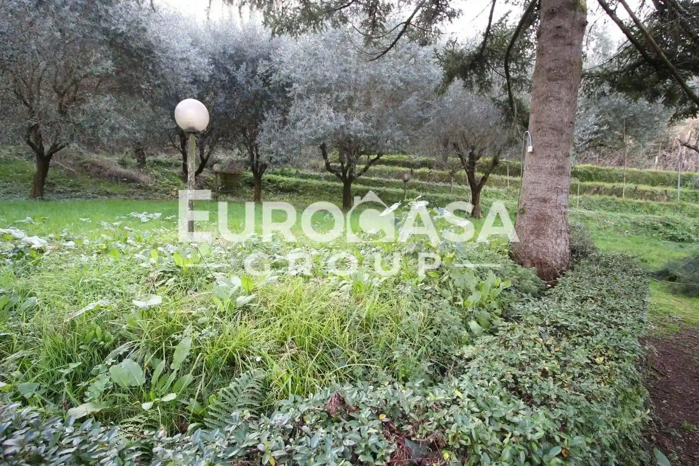 Villa unifamiliare via per Gattaiola e Meati,, Fagnano - Meati, Lucca - foto 4