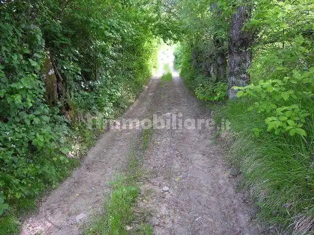 Rustico - Casale in vendita a Caprese Michelangelo