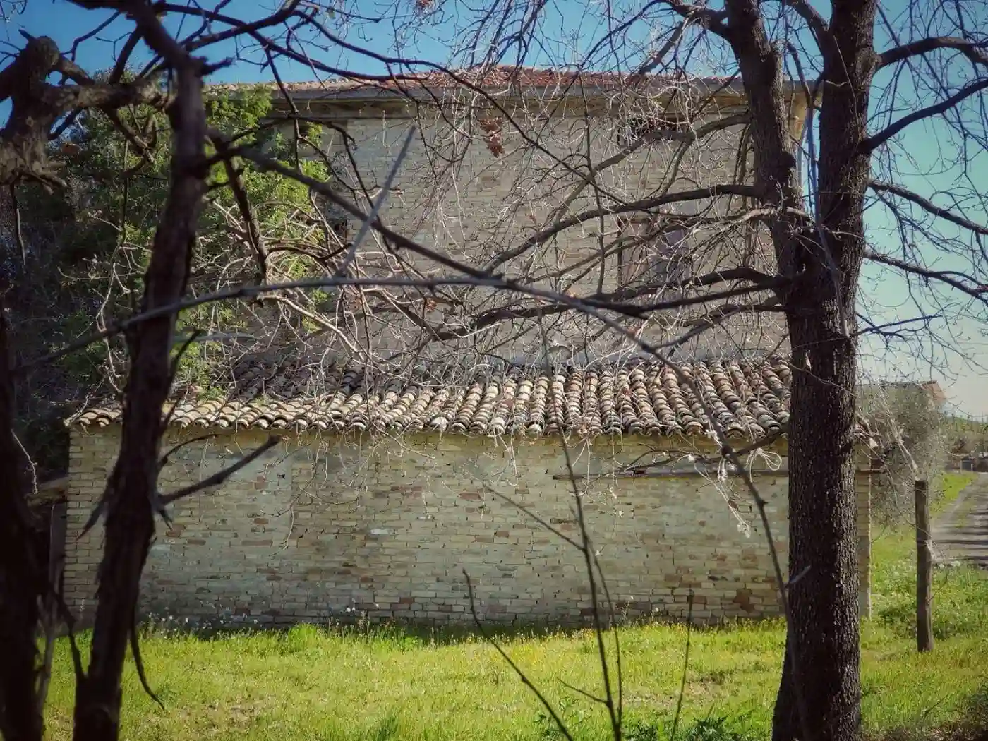 Rustico - Casale - foto 5