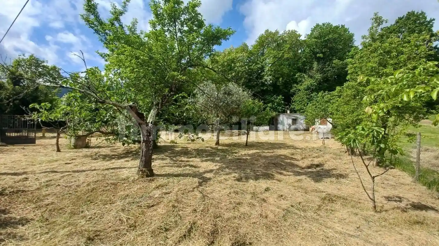 Rustico - Casale in vendita a Ceccano