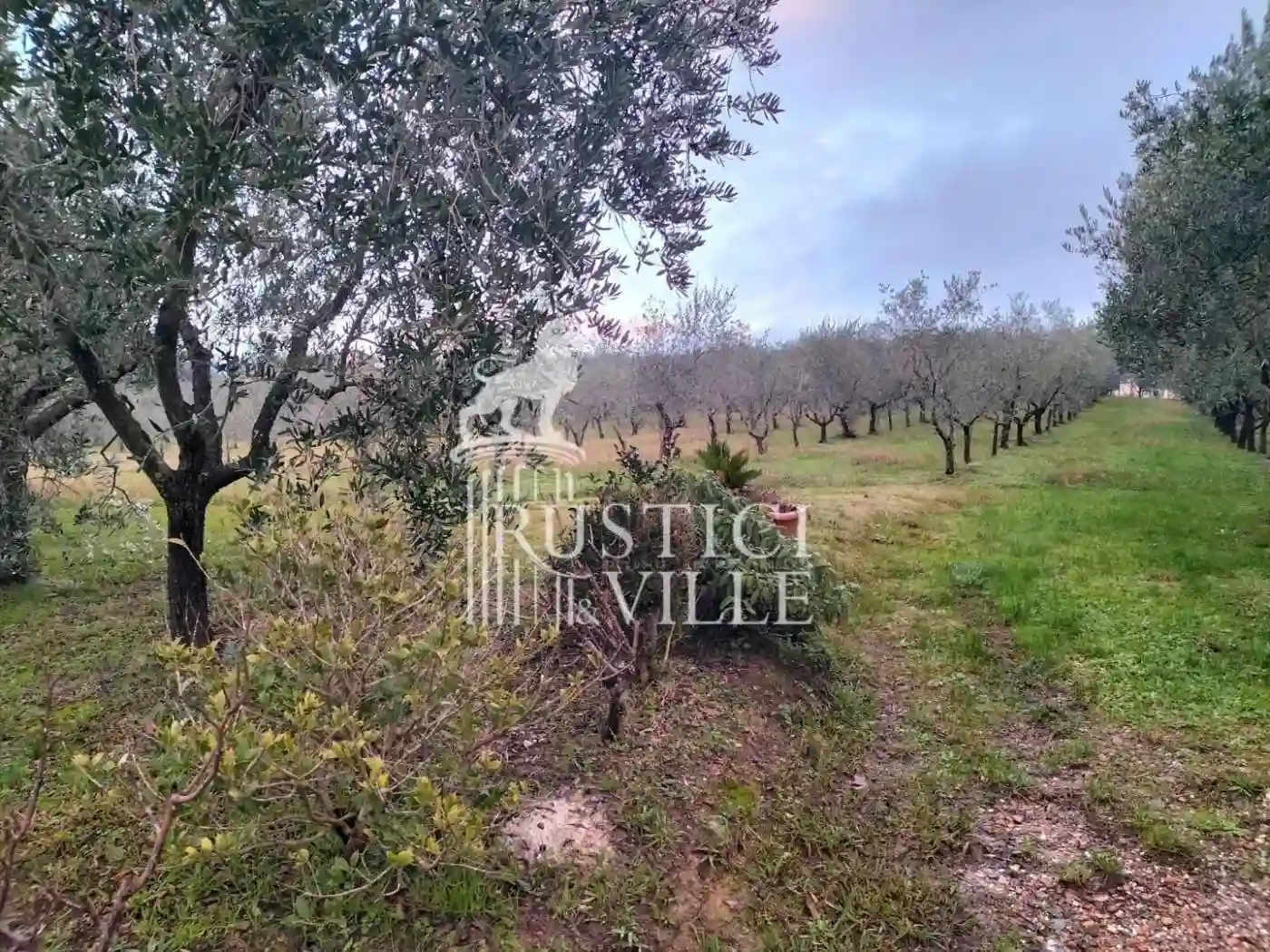 Rustico - Casale - foto 4