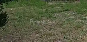 Casa indipendente in vendita a Carmignano