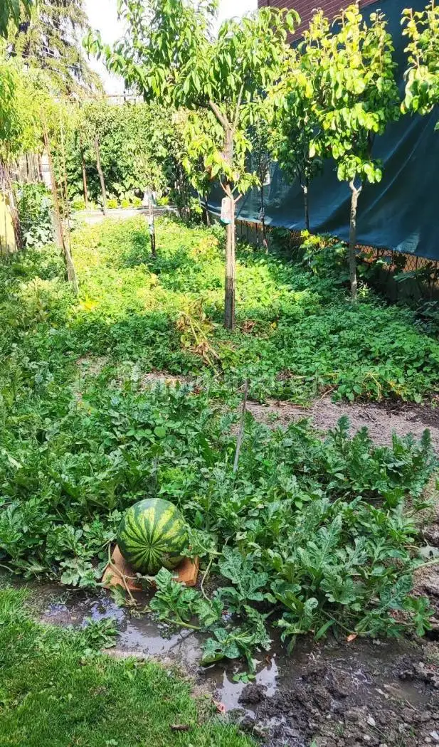 Appartamento regione Pallin 32, Centro, Aosta - foto 4