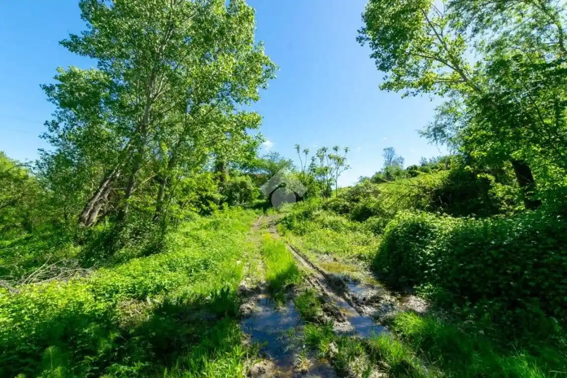 Rustico Strada alla Morana 7, Ronzone, Salita Sant'Anna, Casale Monferrato - foto 4
