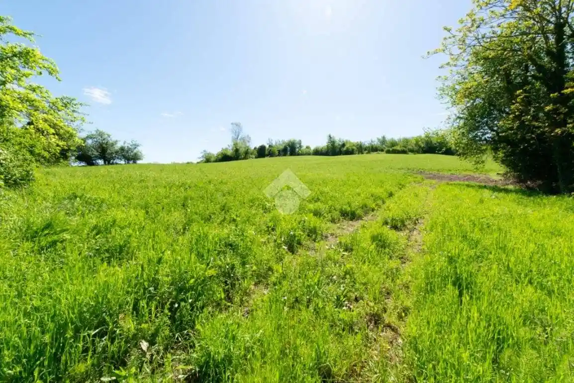 Rustico Strada alla Morana 7, Ronzone, Salita Sant'Anna, Casale Monferrato - foto 5