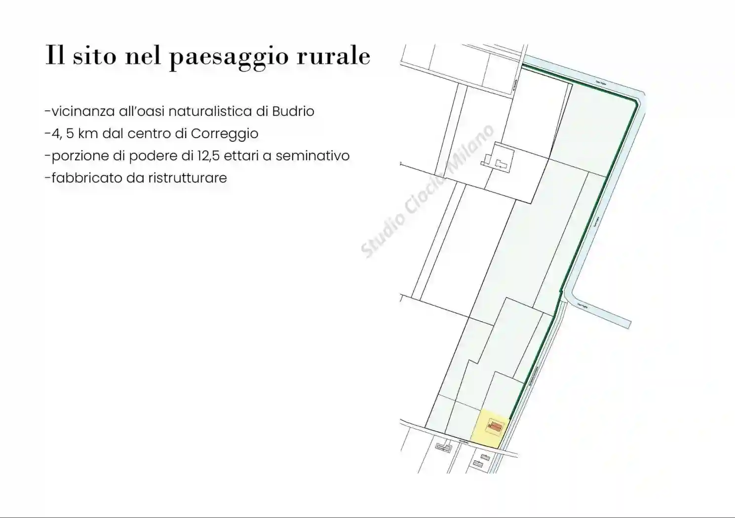 Palazzo - Edificio - foto 2