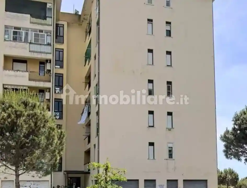 Trilocale via Caduti 16 Marzo 1978, Fortuna - Corvo, Catanzaro - foto 3