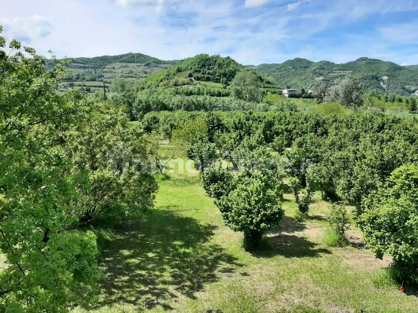 Cascina regione Goretta, Cessole - foto 3