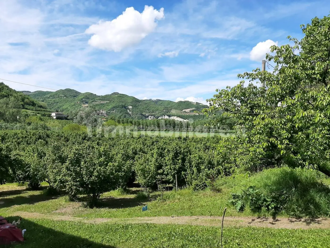 Cascina regione Goretta, Cessole - foto 5