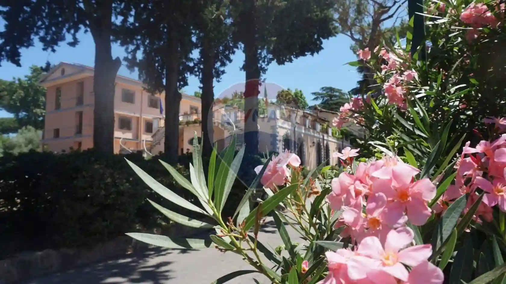 Palazzo - Edificio - foto 4