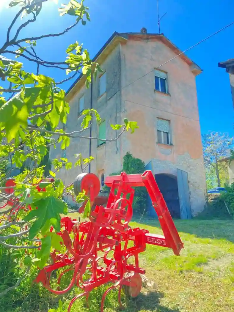 Rustico - Casale - foto 5