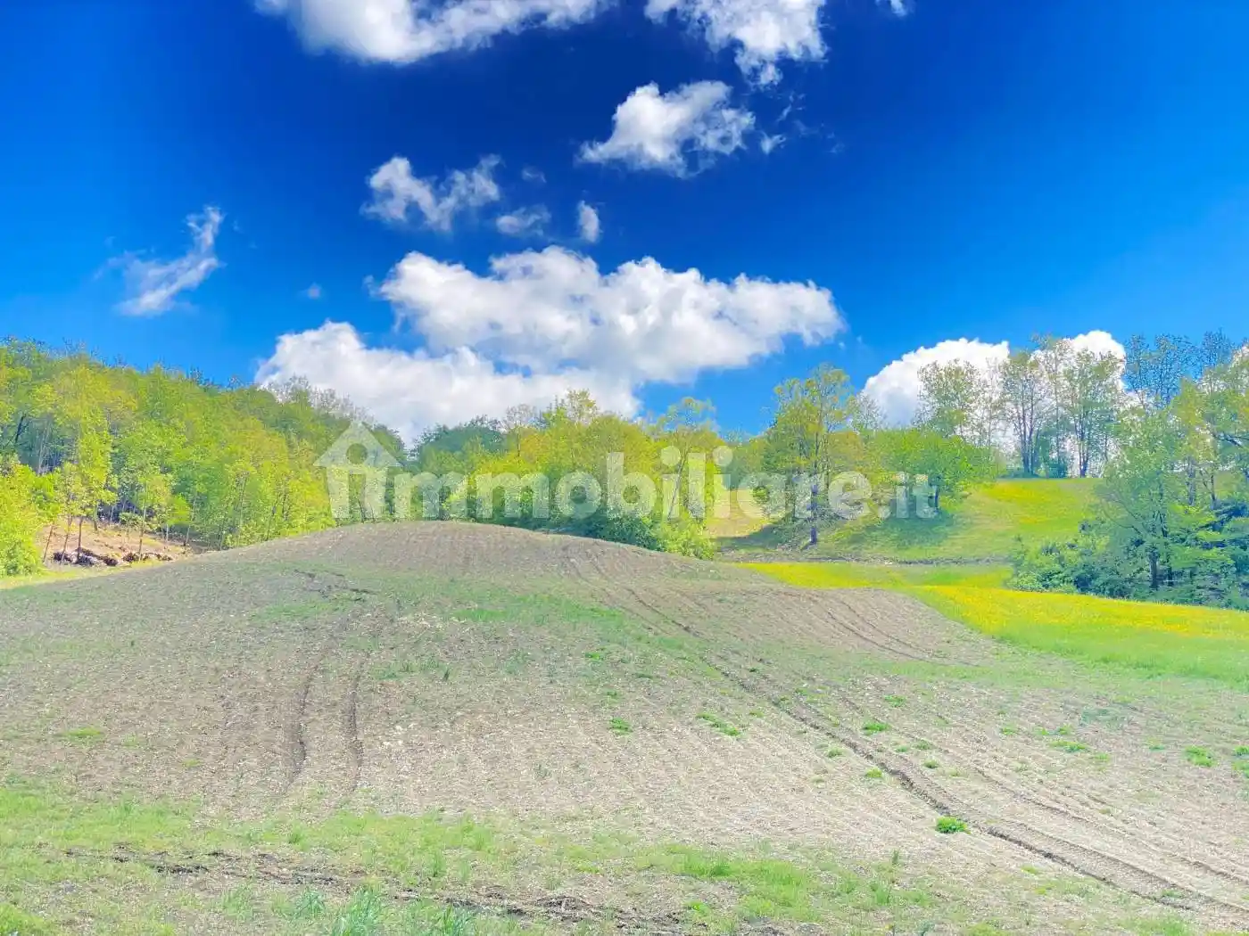 Rustico - Casale in vendita a Lugagnano Val d'Arda