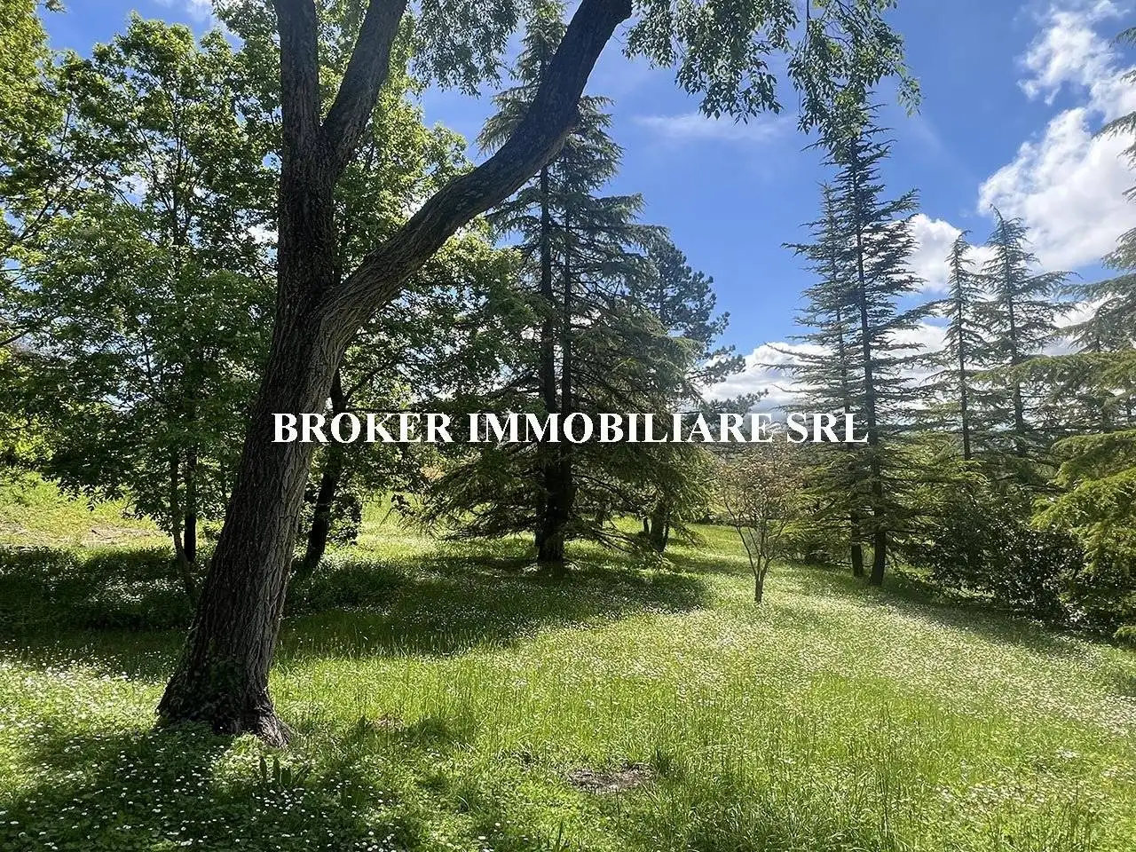 Casale Località Carmine, Carmine, Colli Verdi - foto 5