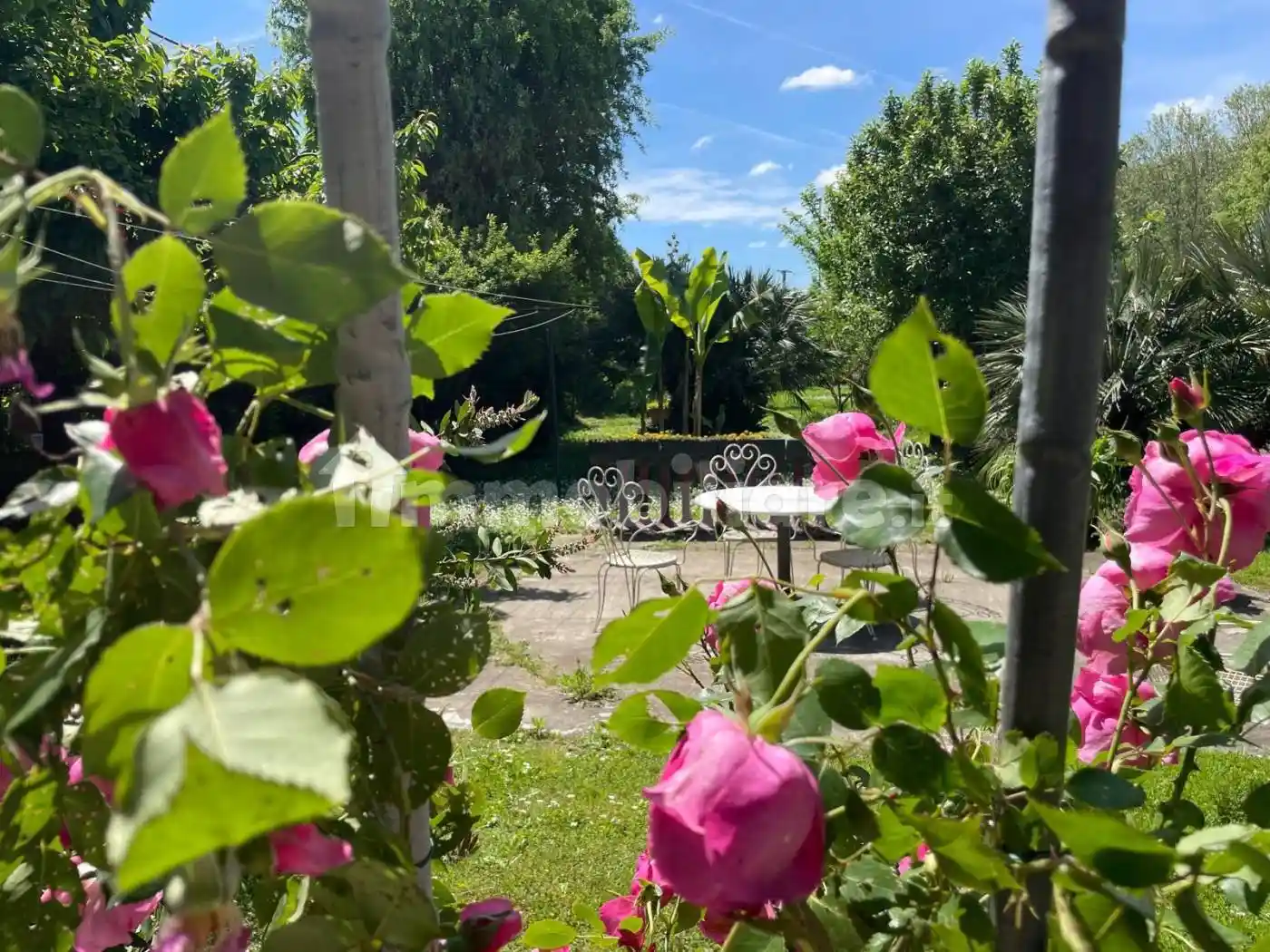 Villa in vendita a Corana