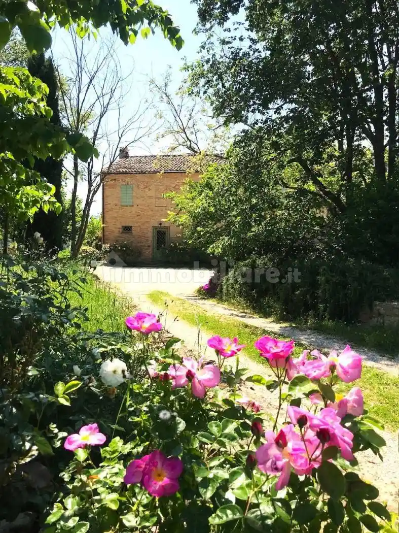 Casale Località Carignano 39, Fenile - Carignano, Fano - foto 4