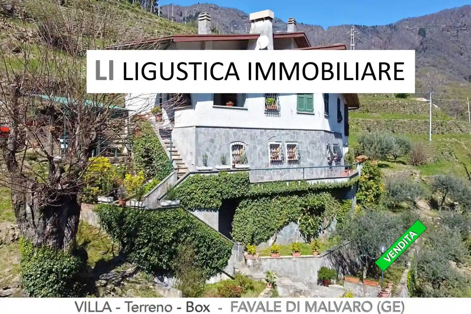 Villa - foto 2