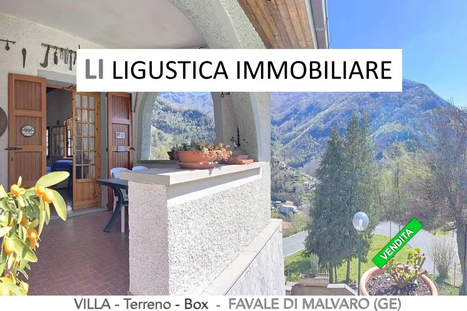 Villa - foto 5