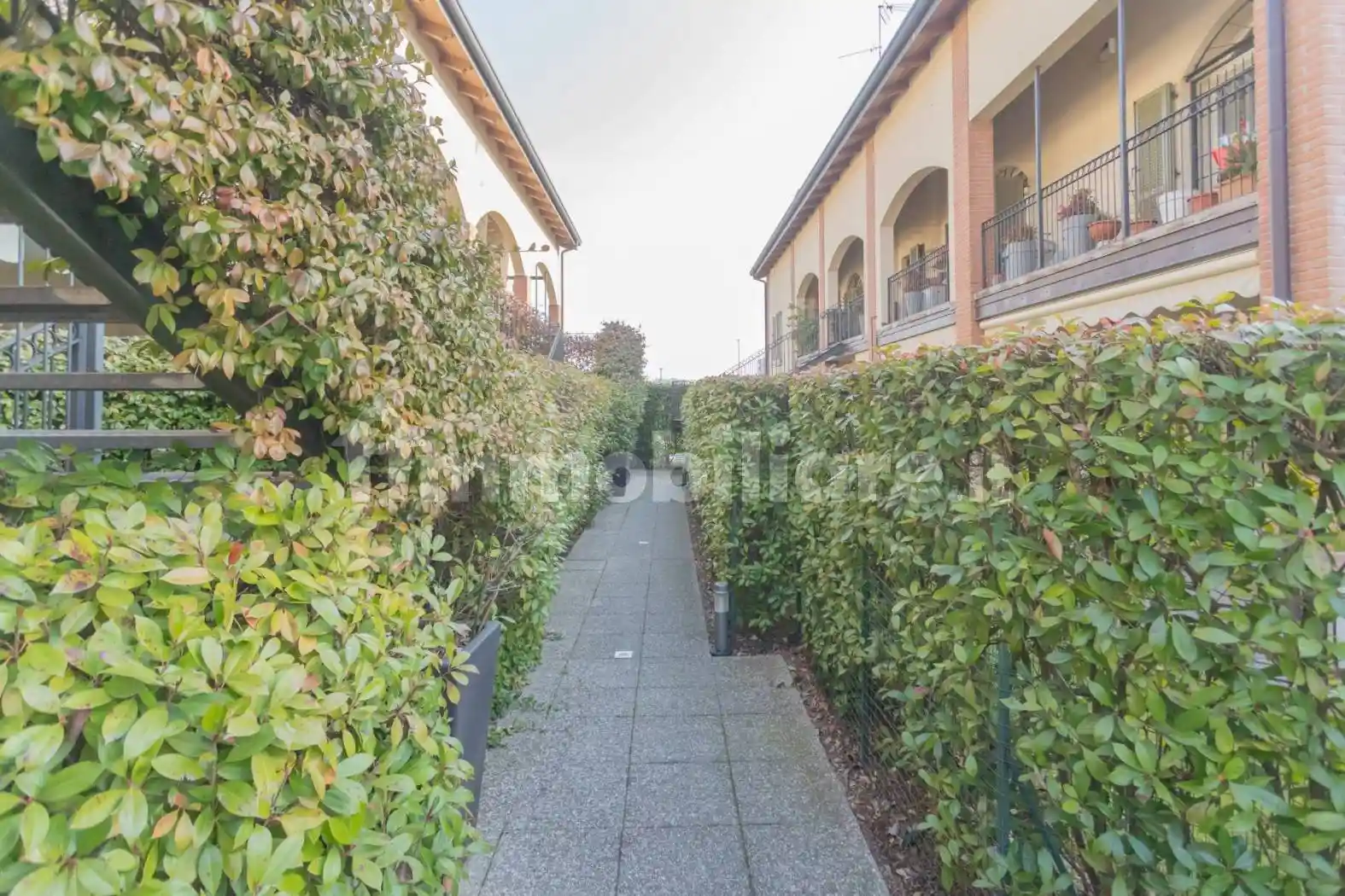 Appartamento in affitto a Monza