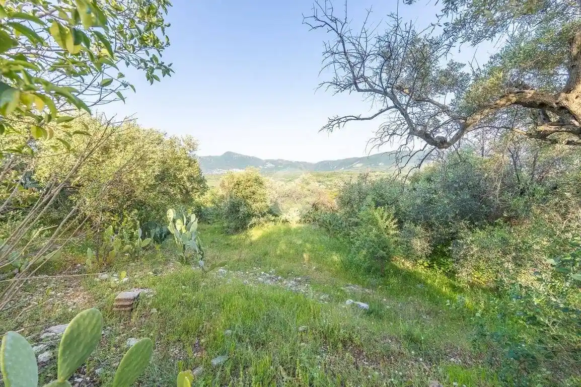 Terratetto unifamiliare via Colle degli Ulivi, Casacalda - Carcibove, Guidonia Montecelio - foto 2
