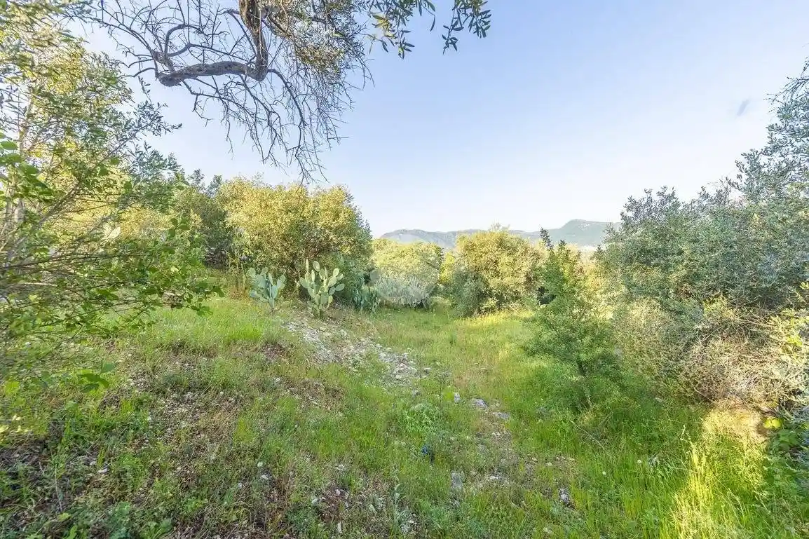 Terratetto unifamiliare via Colle degli Ulivi, Casacalda - Carcibove, Guidonia Montecelio - foto 3