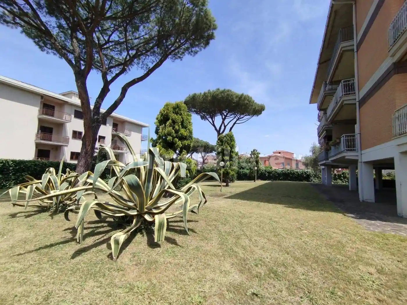 Trilocale via della Stazione di Ciampino, Morena, Roma - foto 2