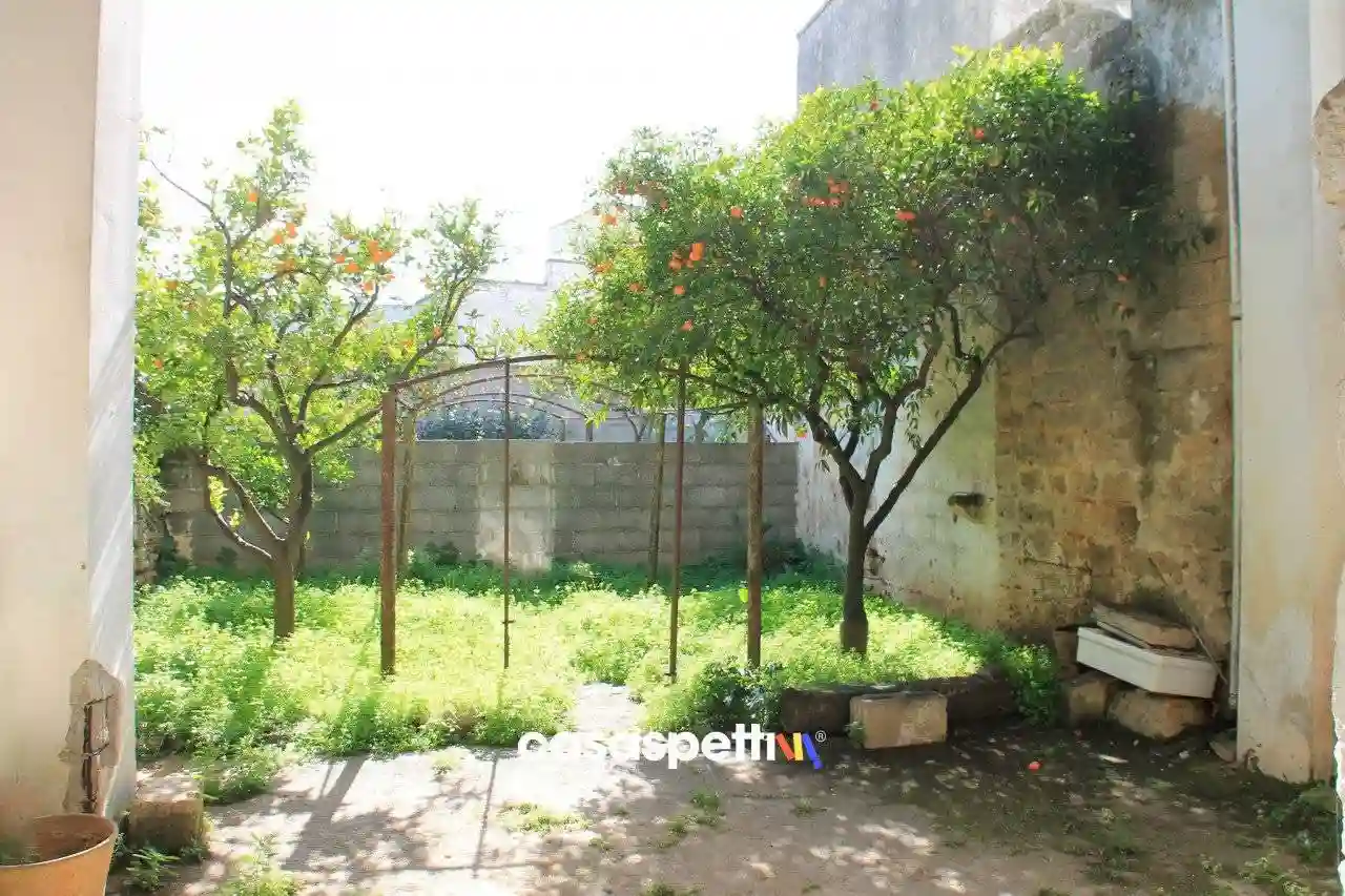 Casa indipendente - foto 4