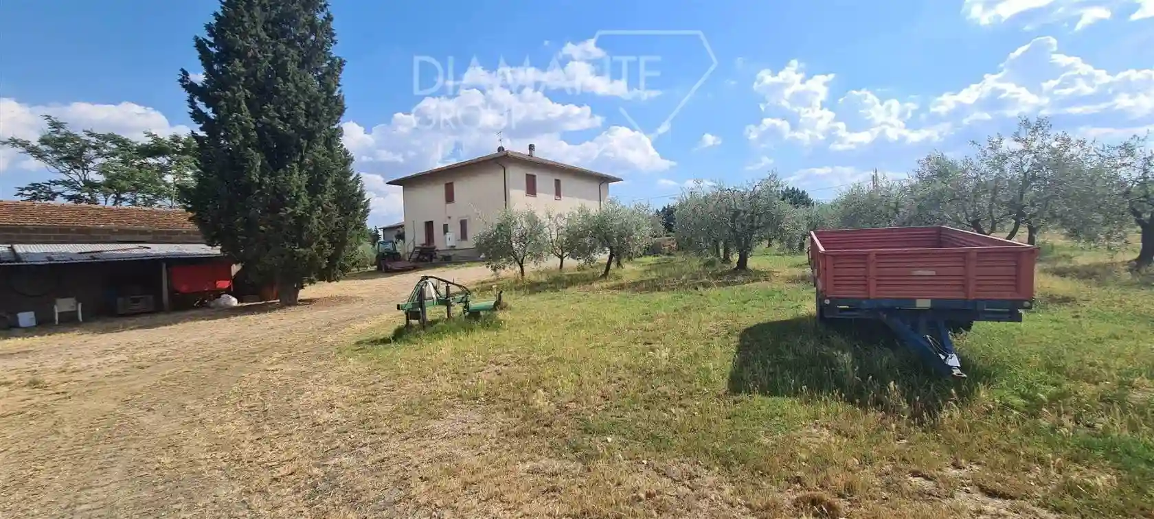 Rustico - Casale - foto 4