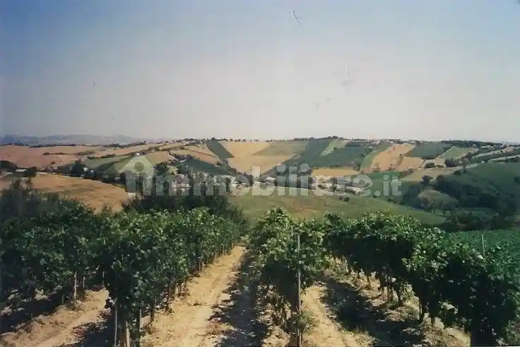 Rustico - Casale in vendita a Morro d'Alba