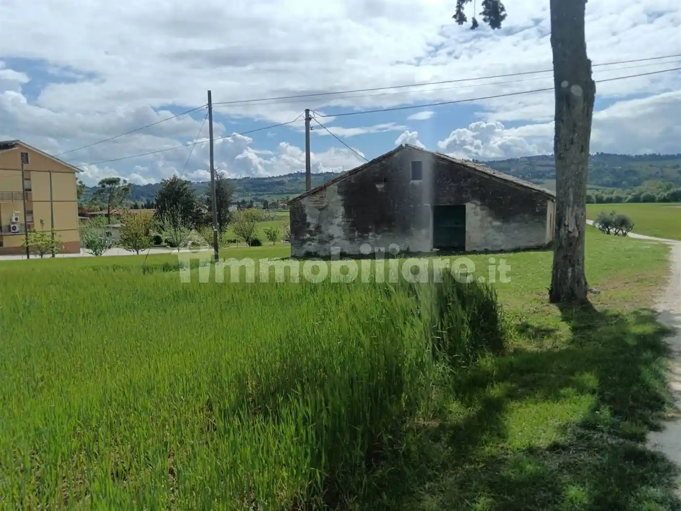 Rustico - Casale in vendita a Treia