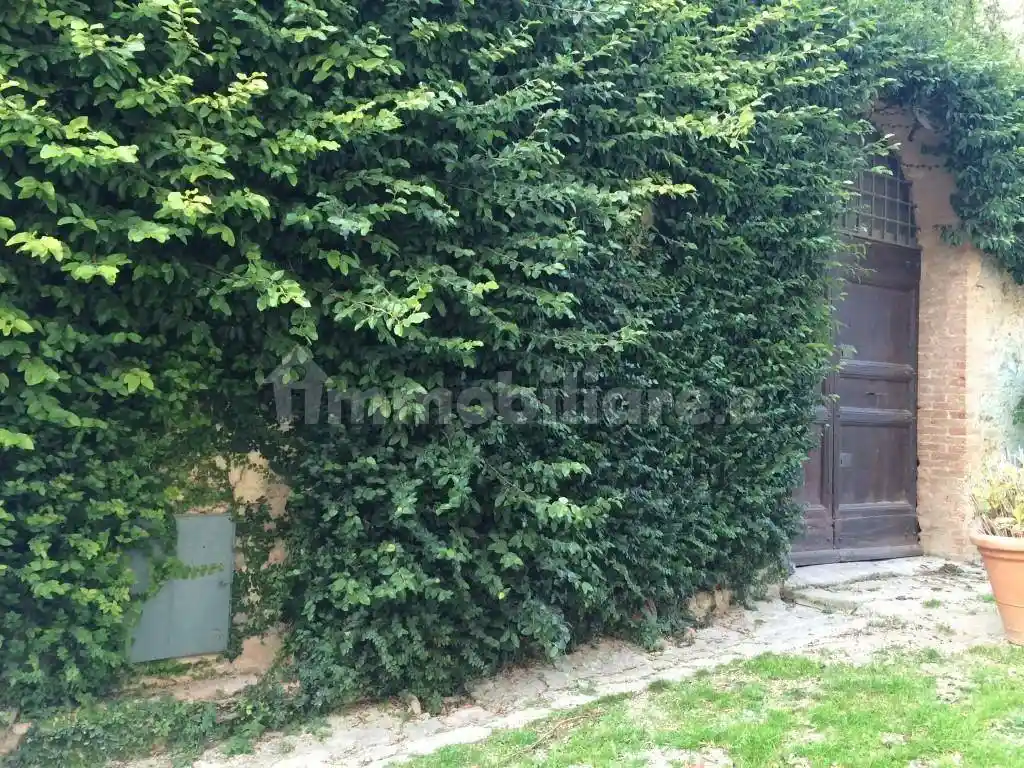 Rustico - Casale in vendita a Vinci
