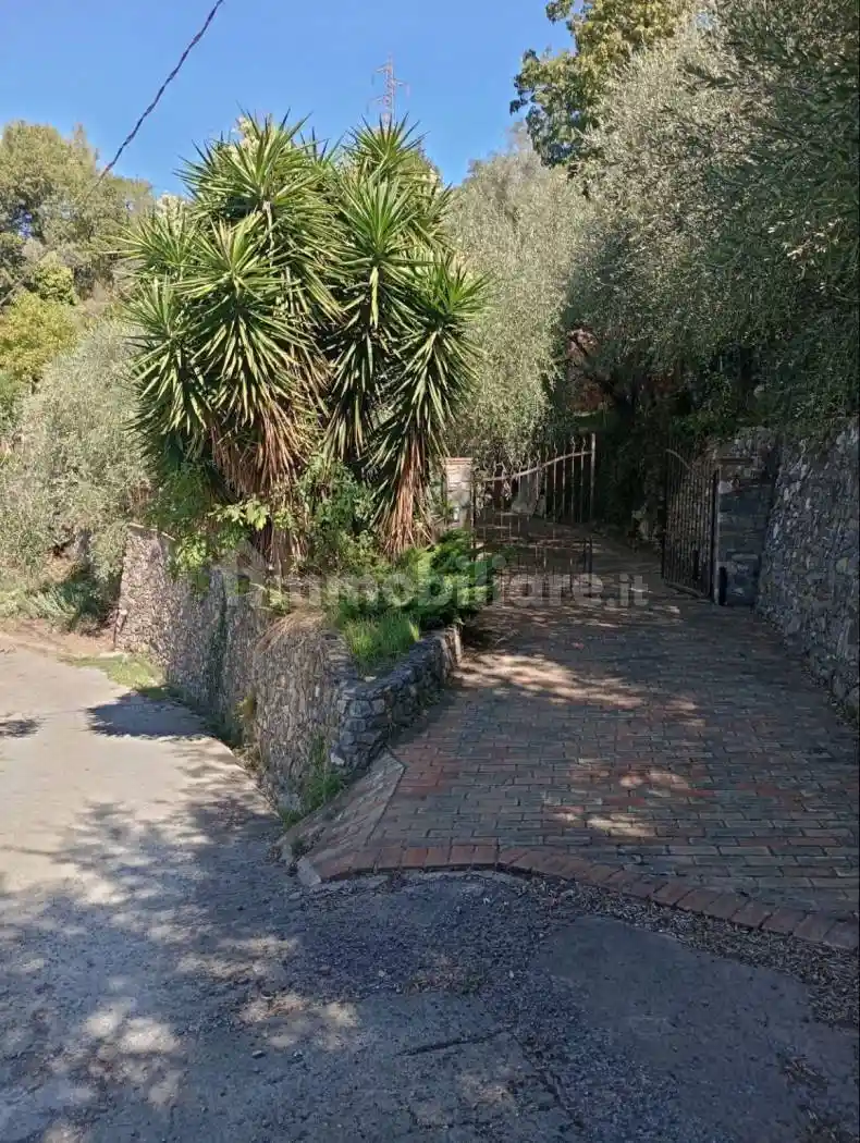 Villa unifamiliare Strada Interpoderale Garumba 19, Caso, Vegliasco, Alassio - foto 3
