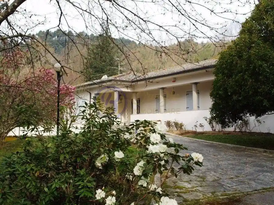 Villa in vendita a Camaiore