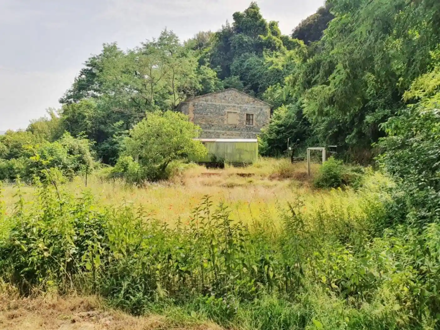 Rustico - Casale in vendita a Acquapendente