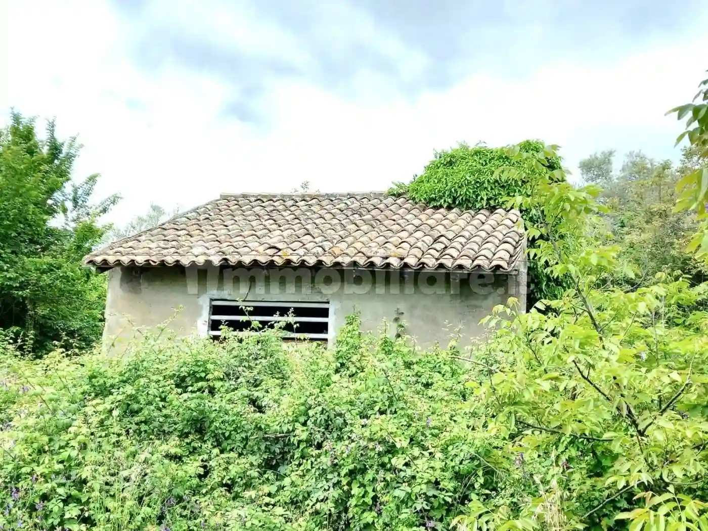 Palazzo - Edificio - foto 3