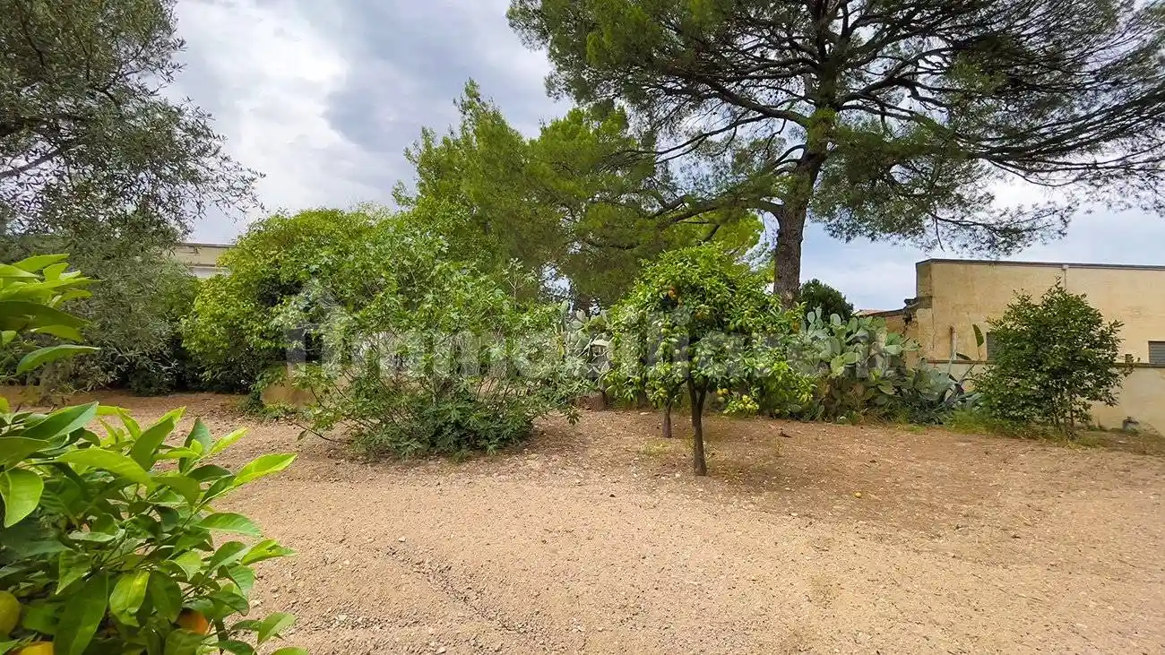 Rustico Contrada Palombaro, Montaltino - Canne, Barletta - foto 4