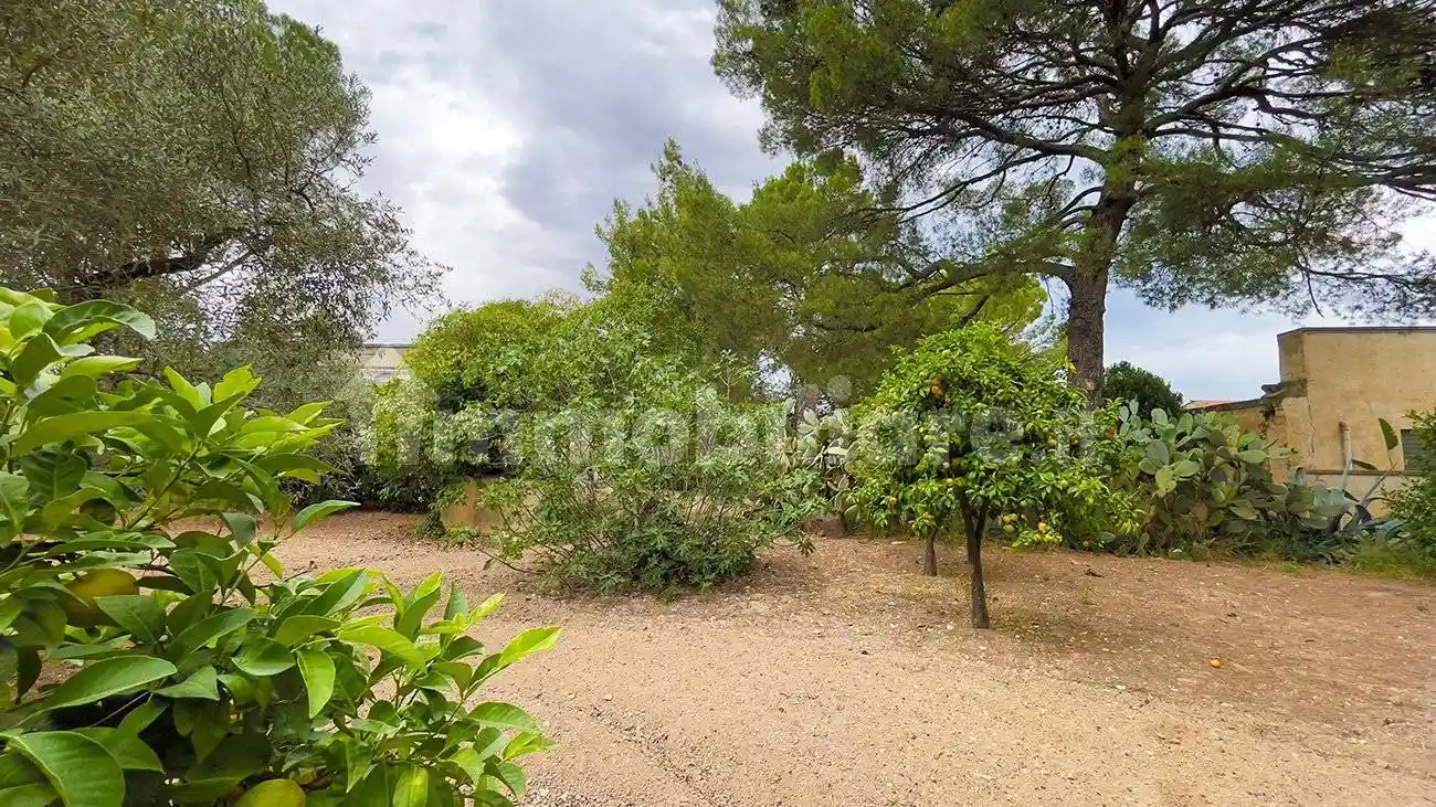 Rustico Contrada Palombaro, Montaltino - Canne, Barletta - foto 5