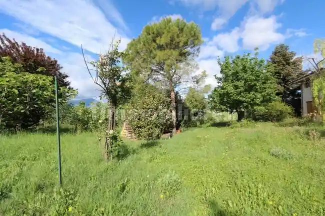 Villa unifamiliare via delle Noci, Centro, Sant'Omero - foto 5